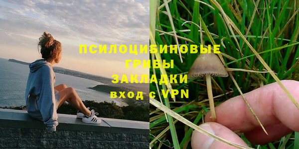 мяу мяу мука Заволжск