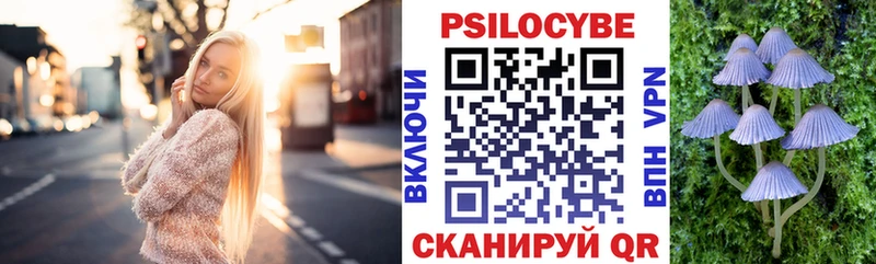 Галлюциногенные грибы Psilocybe  Купить  Кизилюрт 
