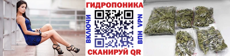 Купить где  Кизилюрт  Шишки марихуана Amnesia 